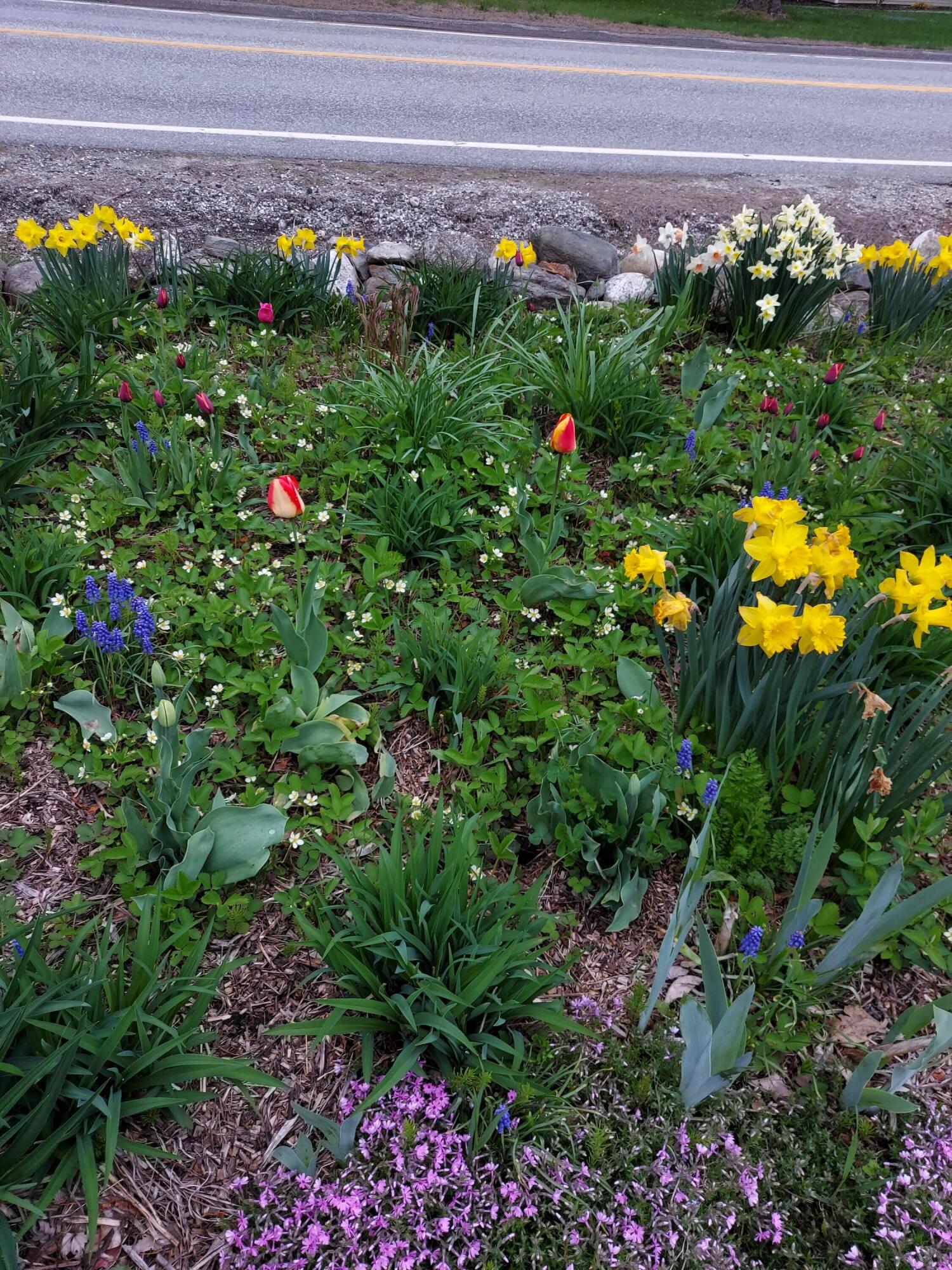 444 West Auburn Road Auburn, ME 04210 - Photo 62 of 64 Garden