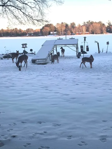 $624,900 | 150 Lake Shore Drive, Iola, WI 54945