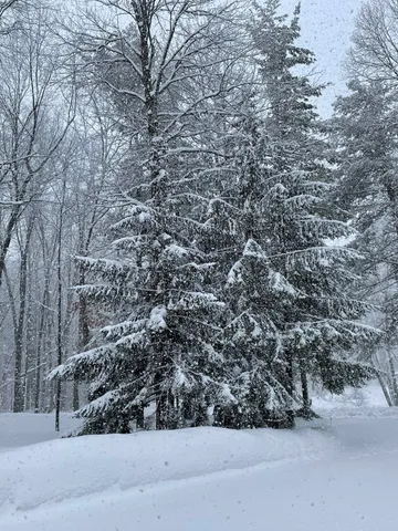 $624,900 | 150 Lake Shore Drive, Iola, WI 54945