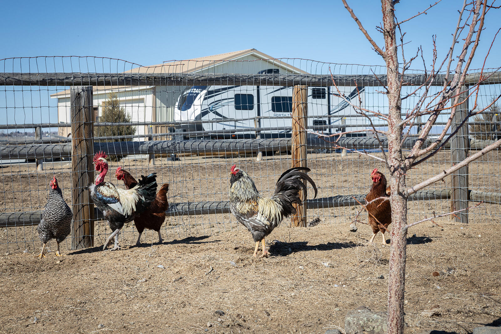 187 Syringa Loop Shoshone, ID 83352 - Photo 45 of 51 Chicken Yard