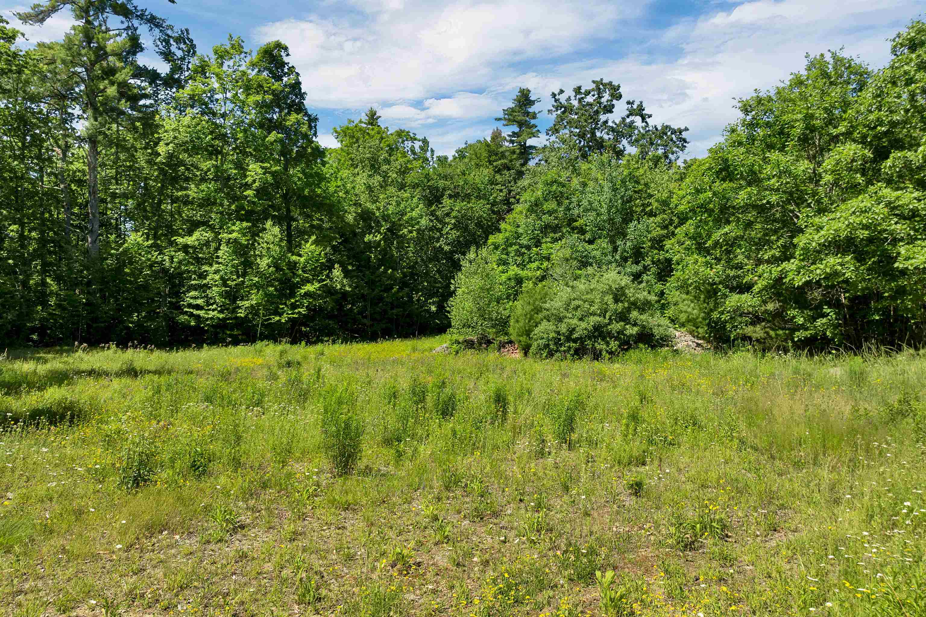 0 Beaver Pond Road Moultonborough, NH 03254 - Photo 17 of 46
