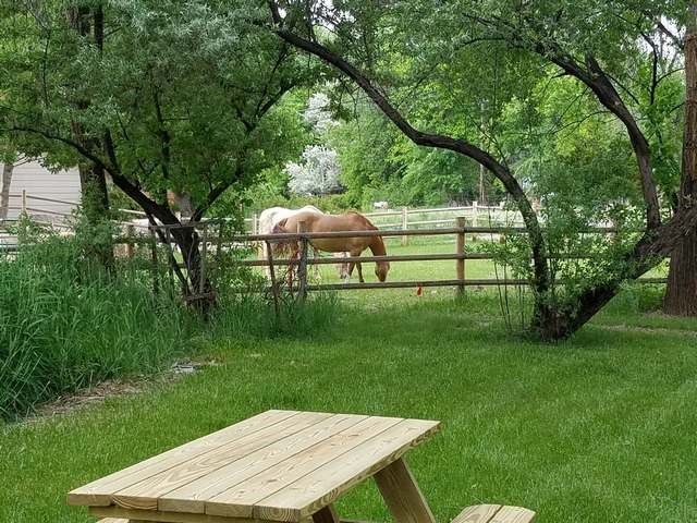 327 Rosevale Road Grand Junction, CO 81507 - Photo 35 of 40 Gallery Image 35