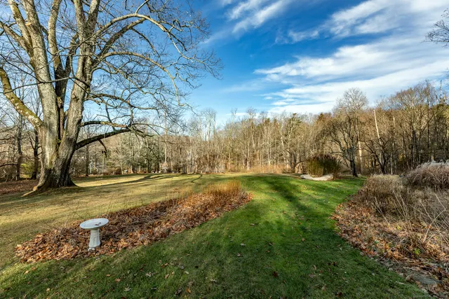 a view of a yard with an trees