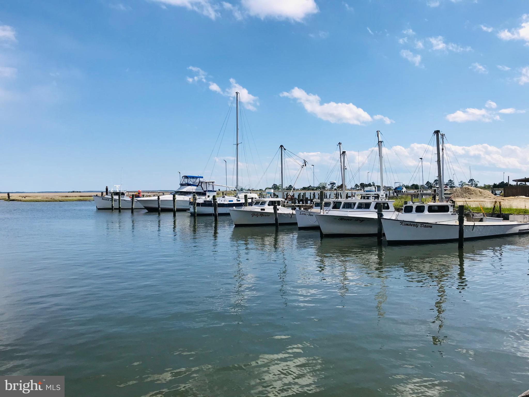 25764 Drum Point Road Westover, MD 21871 - Photo 28 of 29 Power and Sailboats and Seafood Working Boats