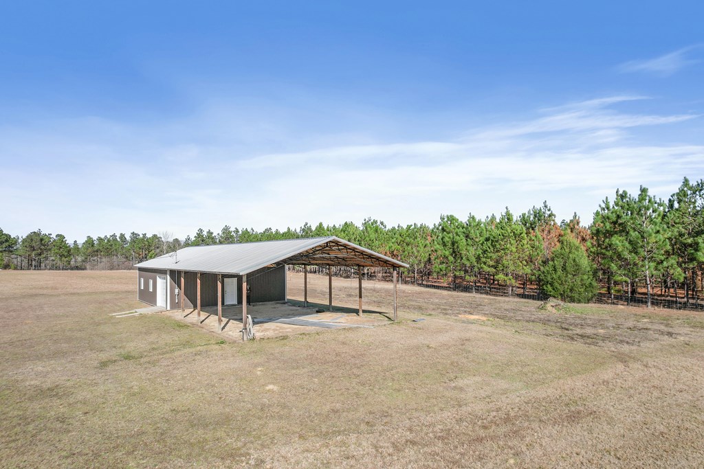 5430 North County 75 Road Columbia, AL 36319 - Photo 41 of 58