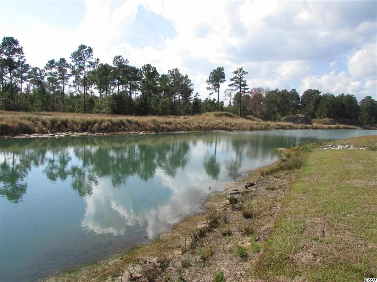268 Wateree River Road Myrtle Beach, SC 29588 - Photo 8 of 14 Gallery Image 8