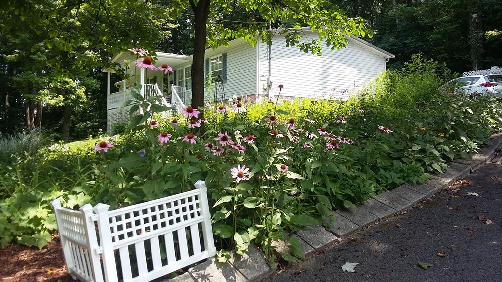 13307 Vine Ridge Lane Glade Spring, VA 24340 - Photo 1 of 1 Gallery Image 1