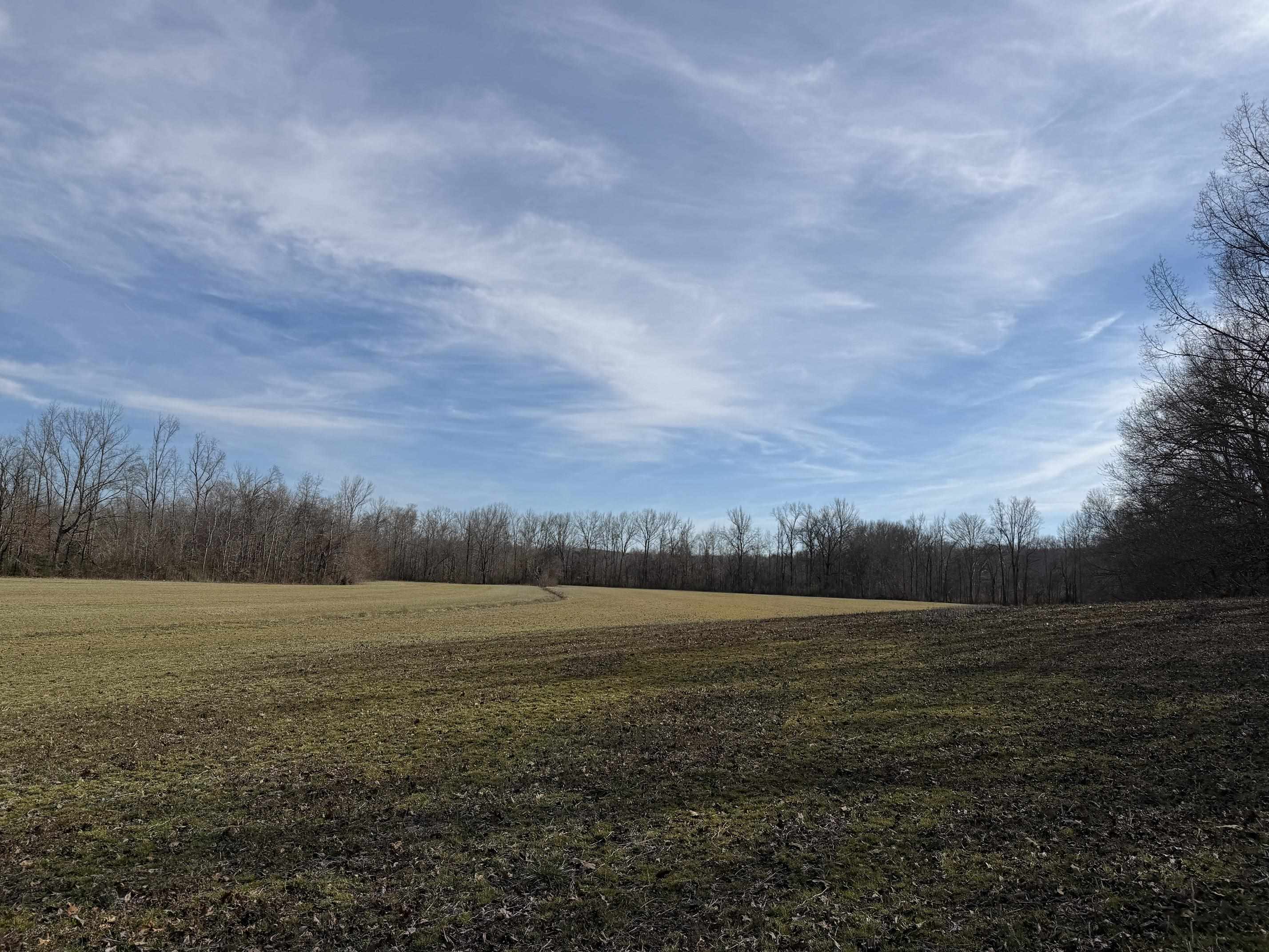 1 Glen Harris Road Adamsville, TN 38310 - Photo 11 of 21 a view of field with trees in background