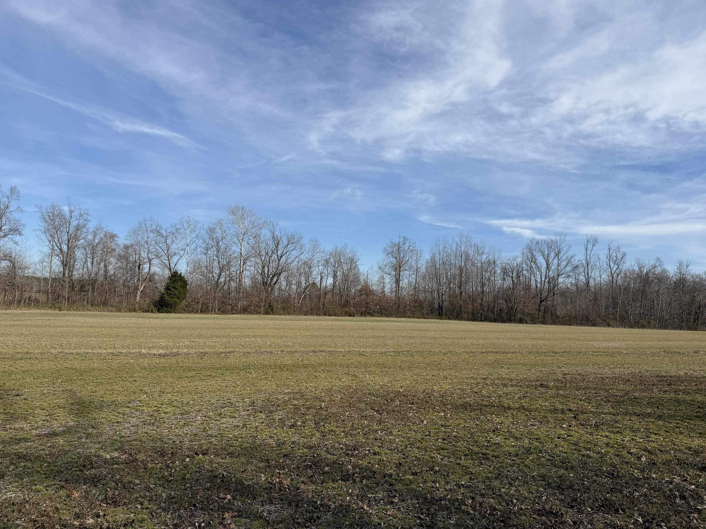 1 Glen Harris Road Adamsville, TN 38310 - Photo 12 of 21 a view of an ocean and mountains