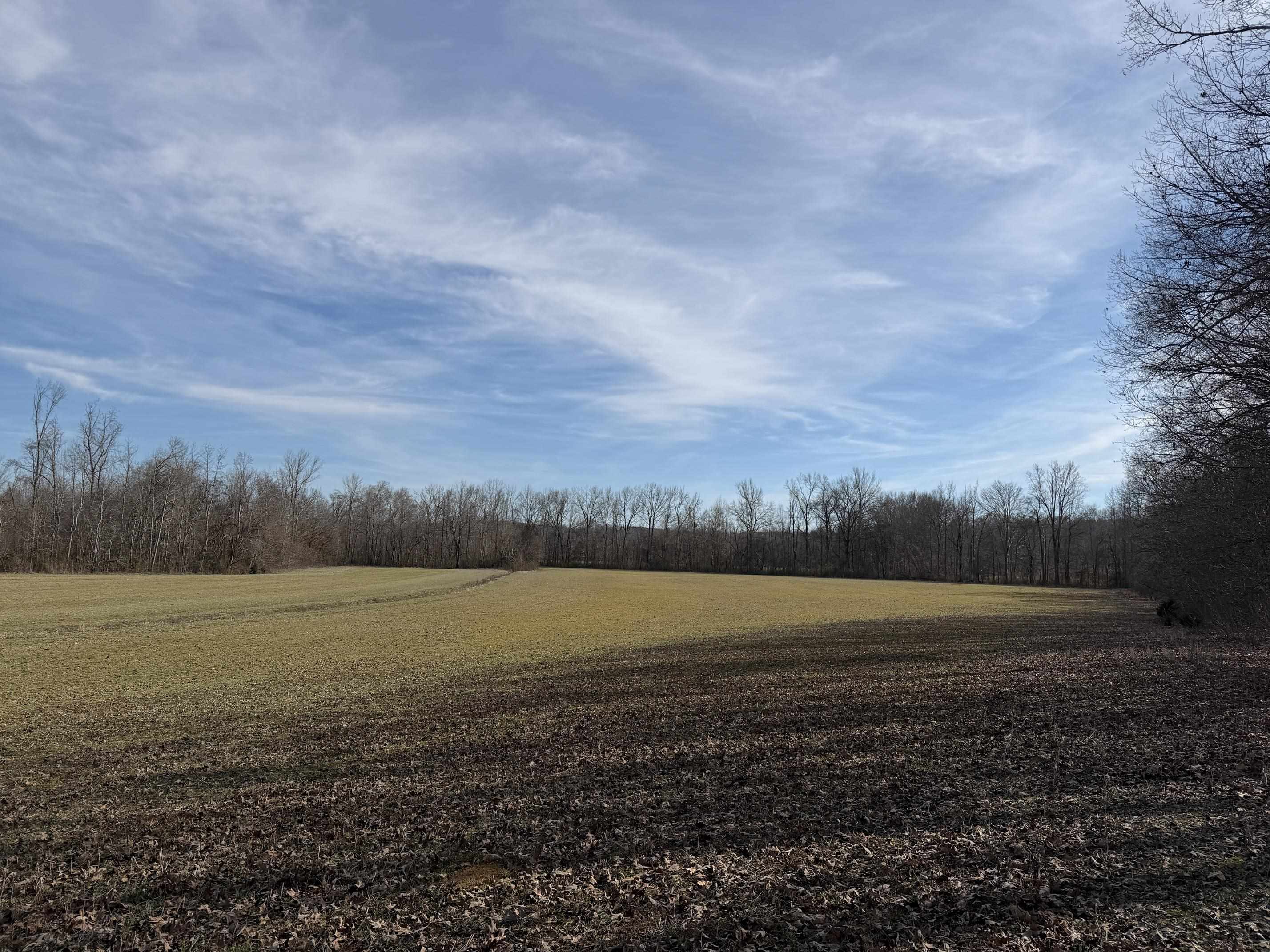 1 Glen Harris Road Adamsville, TN 38310 - Photo 13 of 21 a view of outdoor space and yard