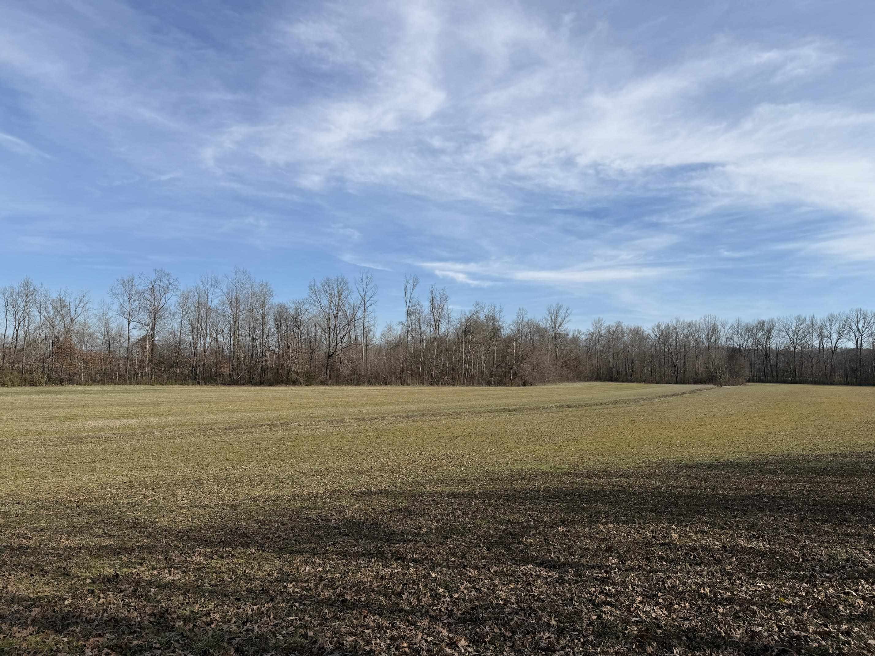 1 Glen Harris Road Adamsville, TN 38310 - Photo 15 of 21 a view of an ocean beach