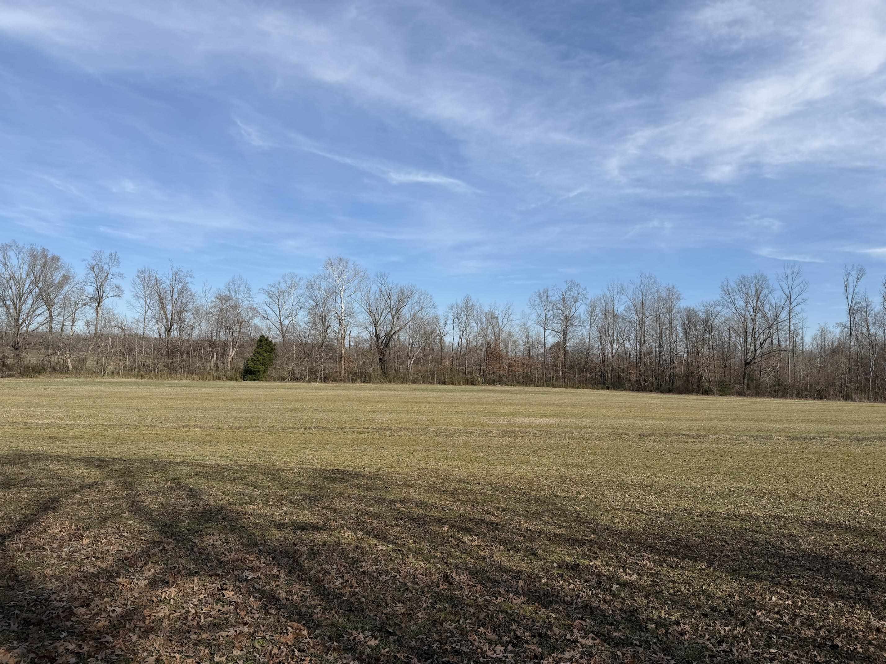 1 Glen Harris Road Adamsville, TN 38310 - Photo 16 of 21 a view of an ocean