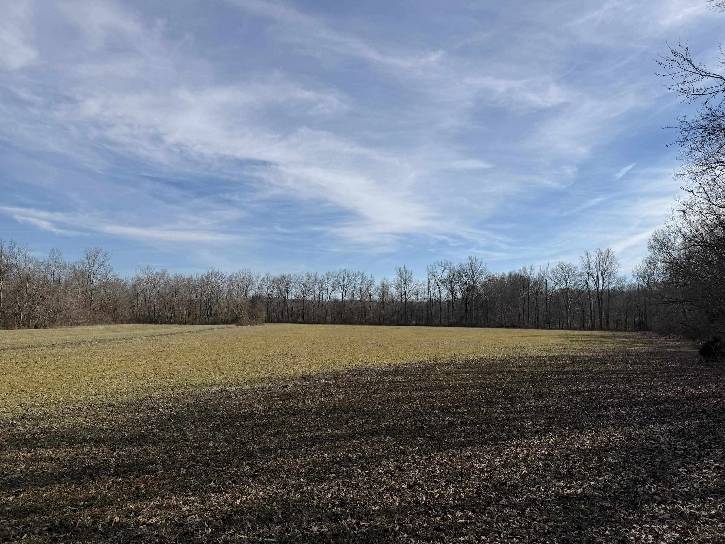 1 Glen Harris Road Adamsville, TN 38310 - Photo 17 of 21 a view of an ocean beach and mountain
