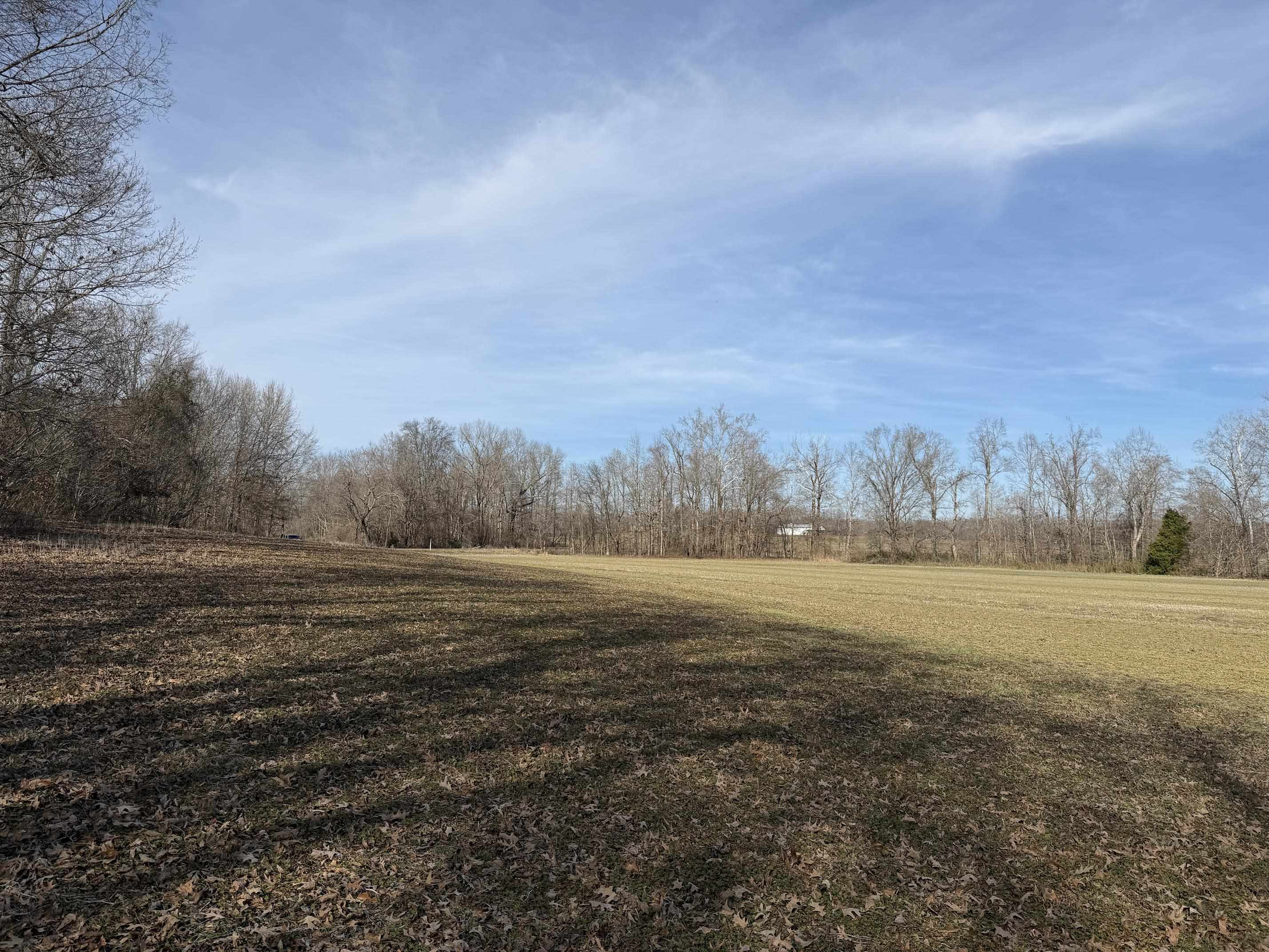 1 Glen Harris Road Adamsville, TN 38310 - Photo 18 of 21 a view of an ocean