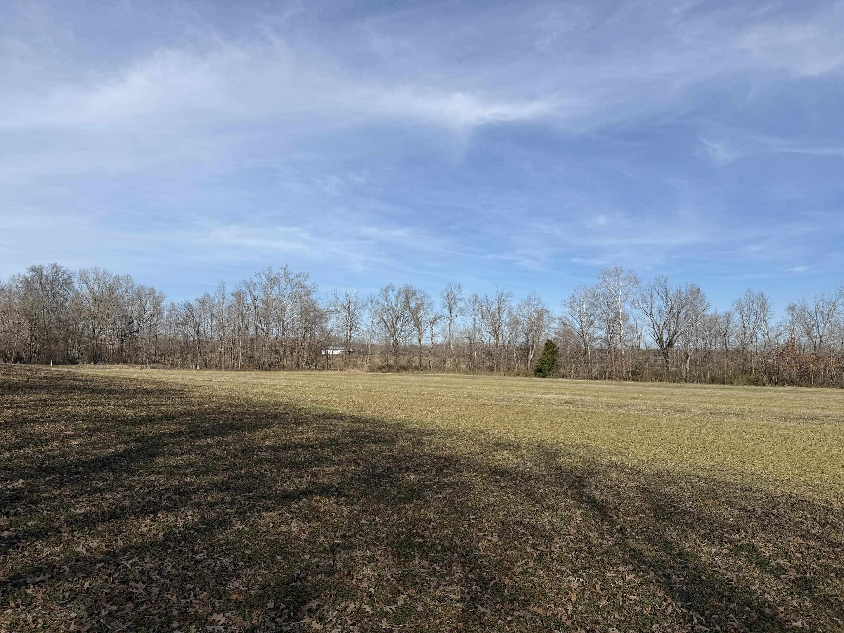 1 Glen Harris Road Adamsville, TN 38310 - Photo 19 of 21 a view of an ocean beach and mountain