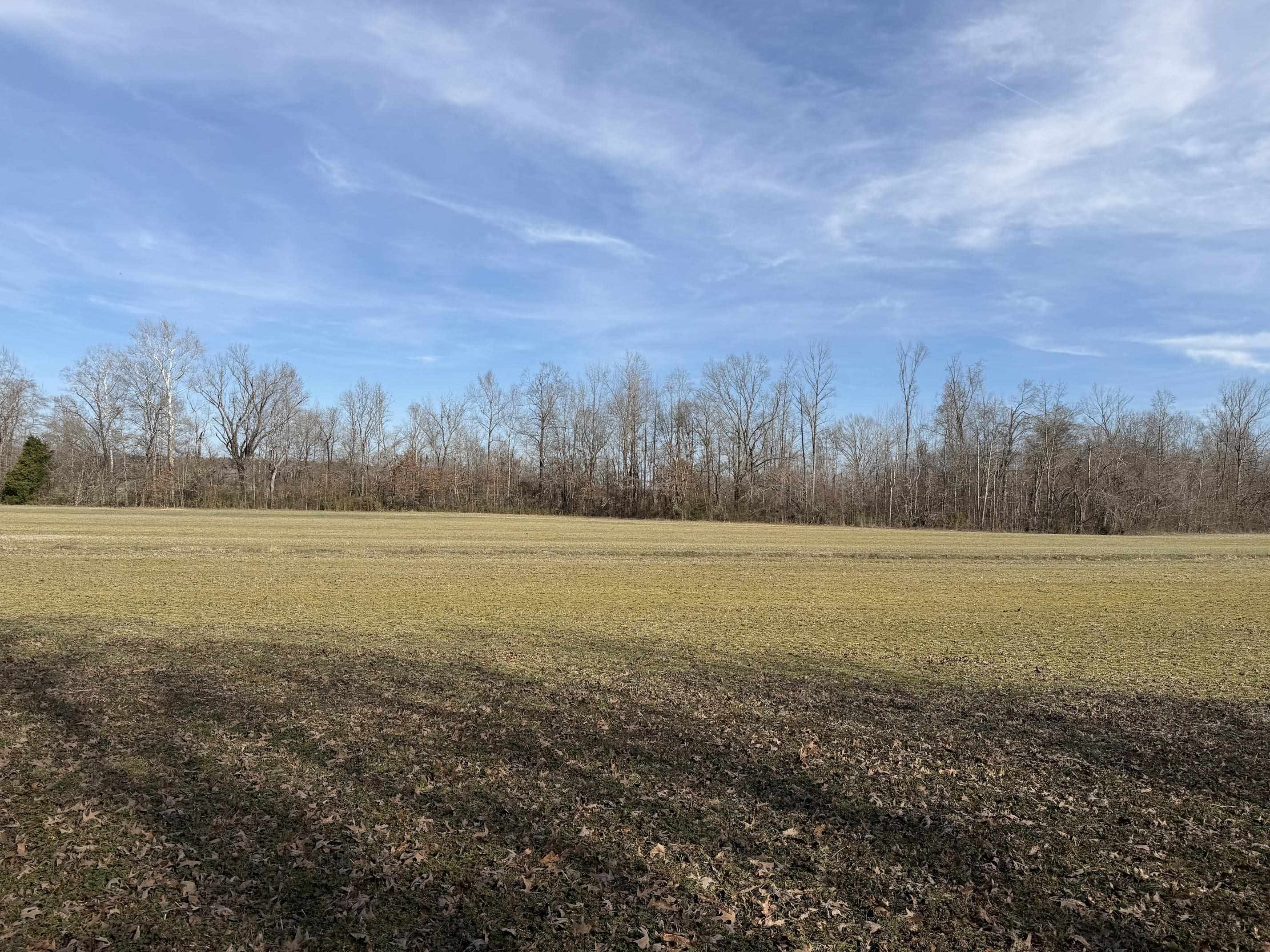 1 Glen Harris Road Adamsville, TN 38310 - Photo 20 of 21 a view of an outdoor space and beach