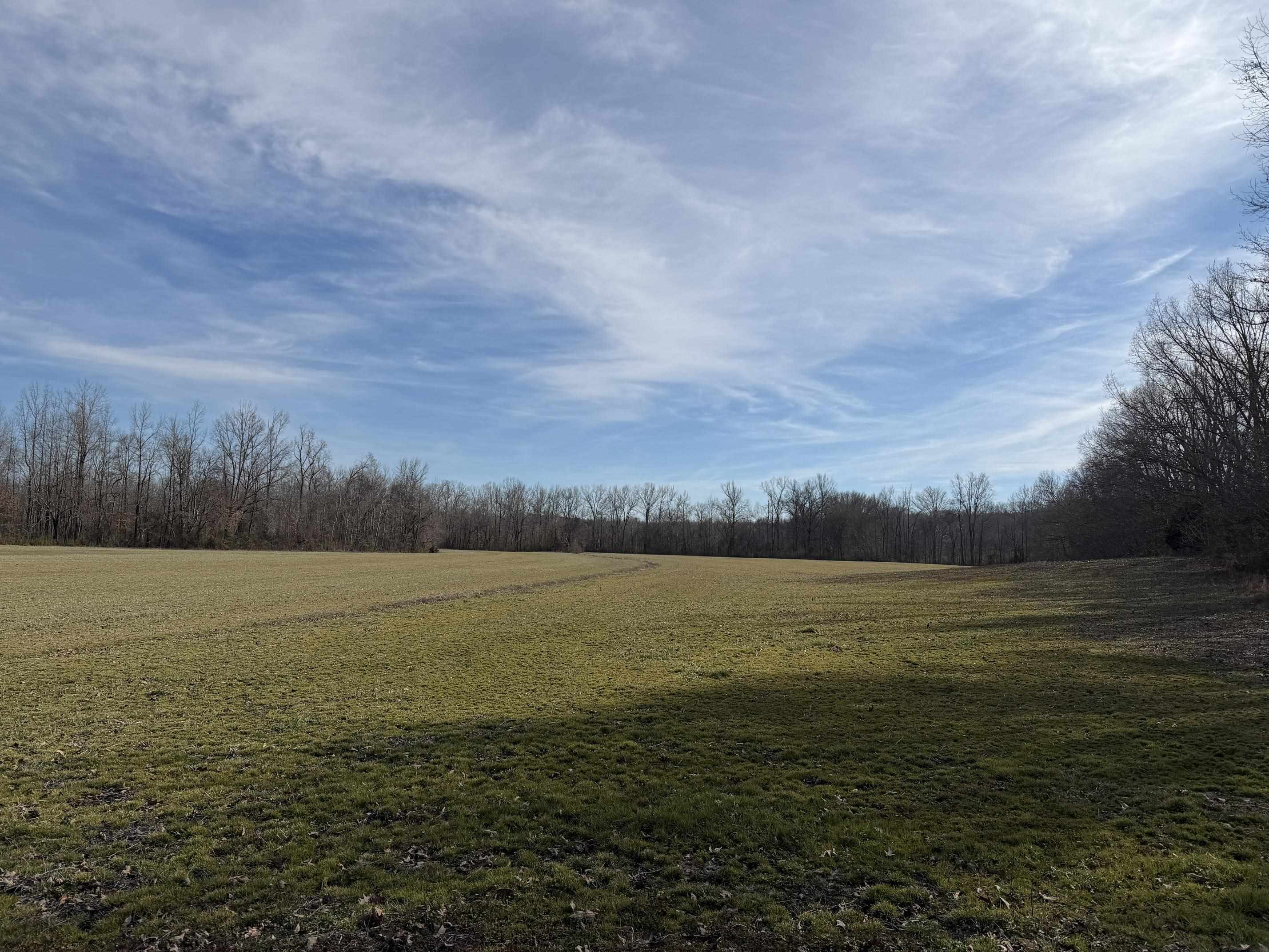 1 Glen Harris Road Adamsville, TN 38310 - Photo 2 of 21 a view of an ocean