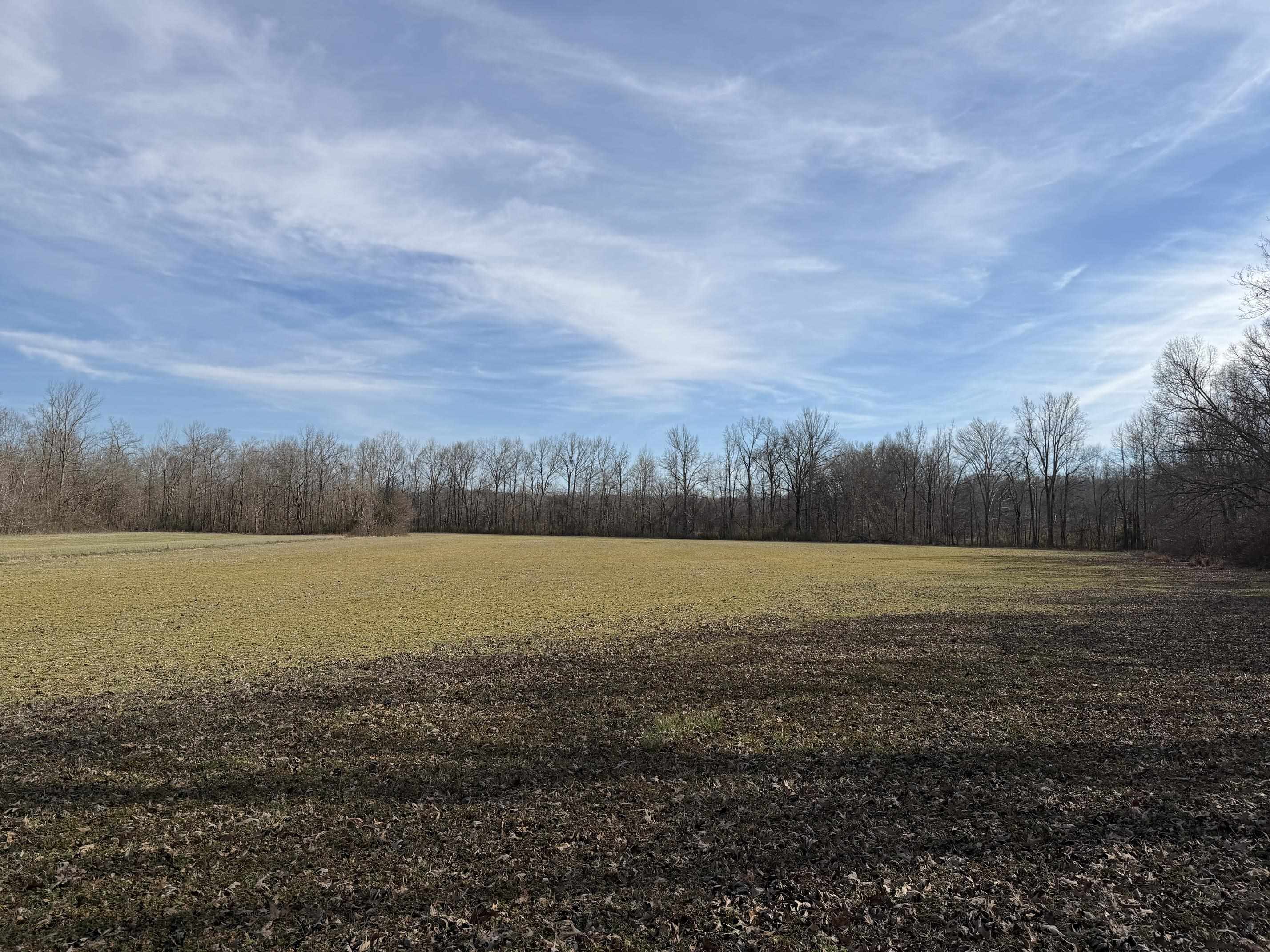 1 Glen Harris Road Adamsville, TN 38310 - Photo 21 of 21 a view of an ocean beach and mountain