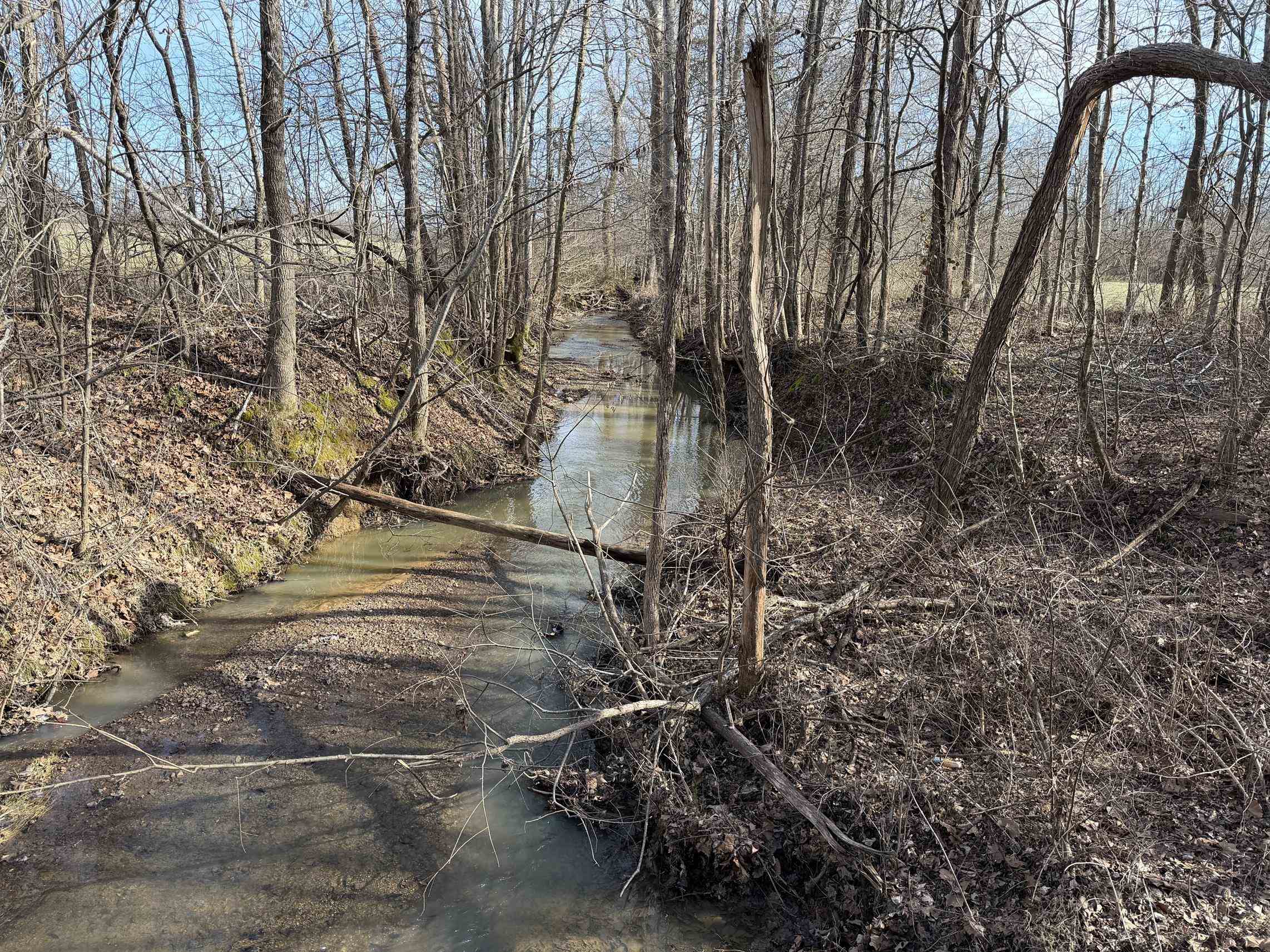1 Glen Harris Road Adamsville, TN 38310 - Photo 3 of 21 a backyard of a house with lots of green space