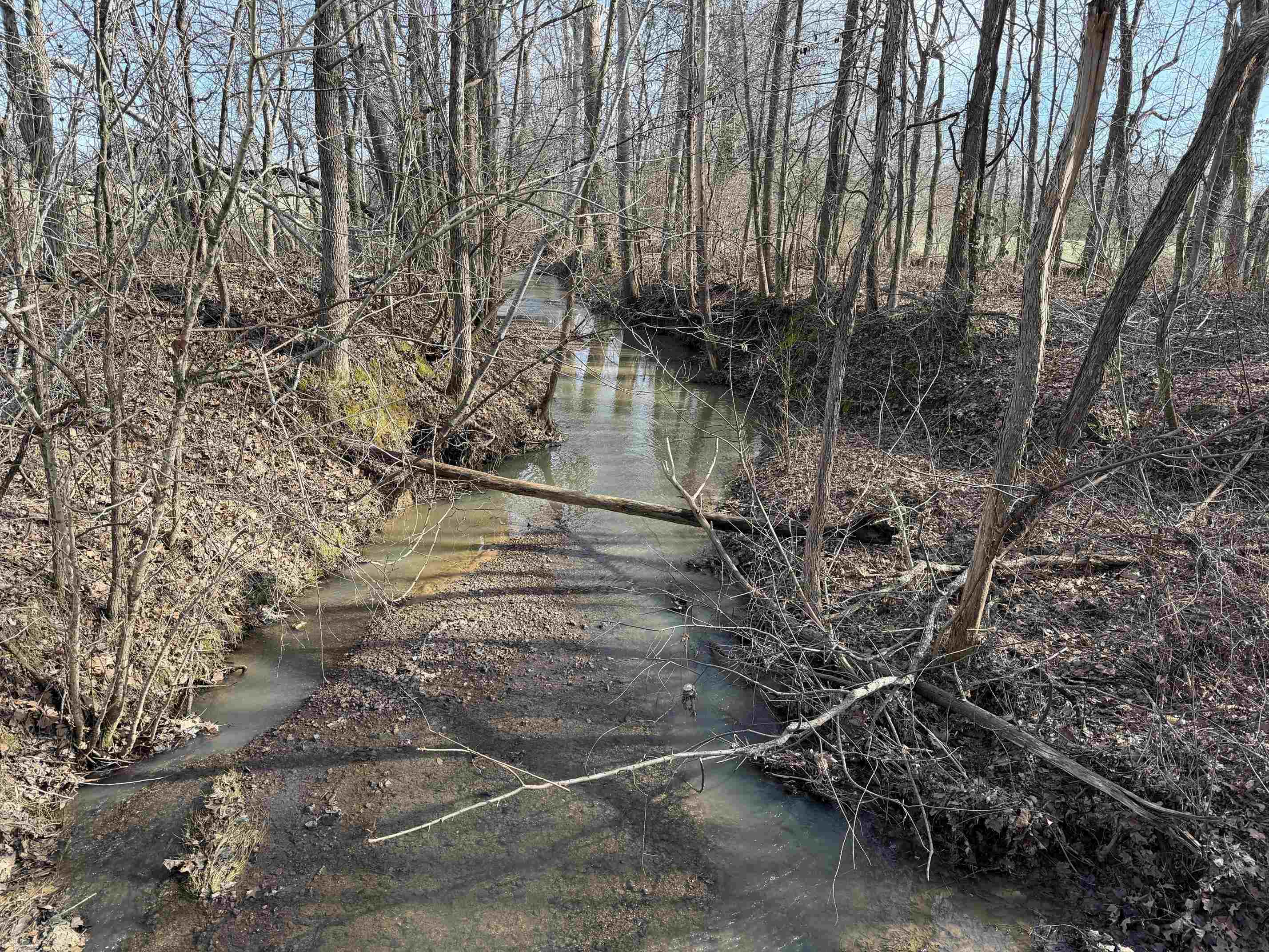 1 Glen Harris Road Adamsville, TN 38310 - Photo 4 of 21 a backyard of a house with lots of green space