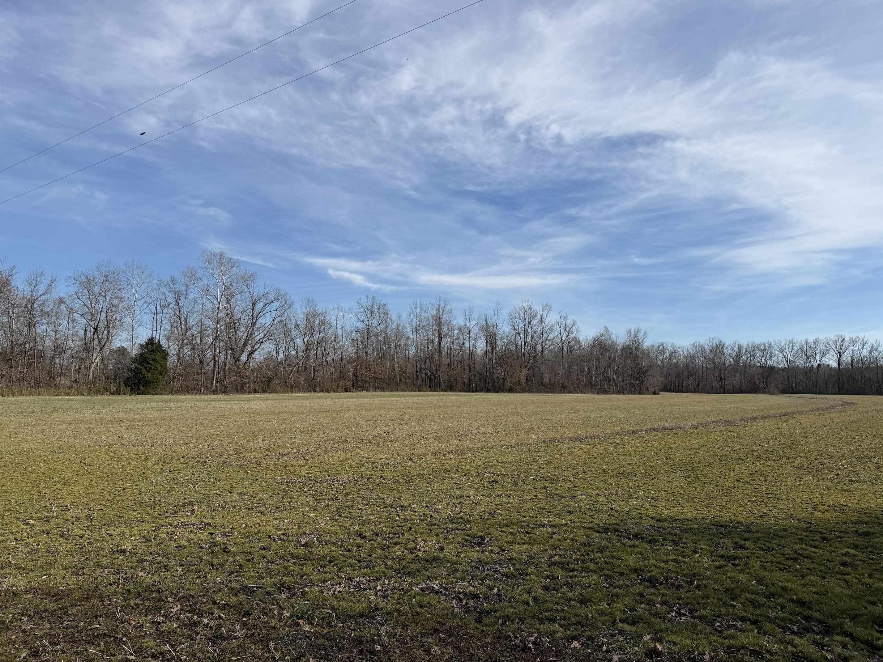 1 Glen Harris Road Adamsville, TN 38310 - Photo 6 of 21 a view of an ocean