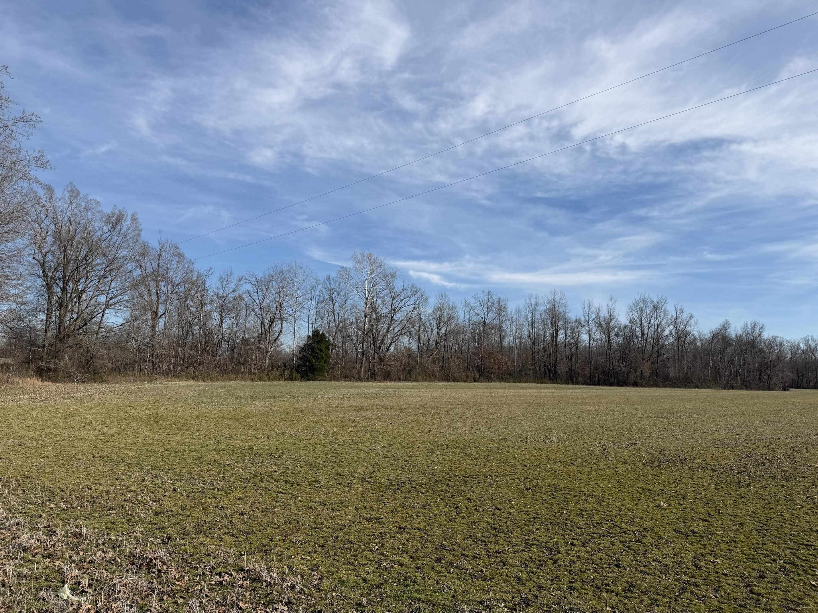 1 Glen Harris Road Adamsville, TN 38310 - Photo 7 of 21 a view of a field with trees in the background