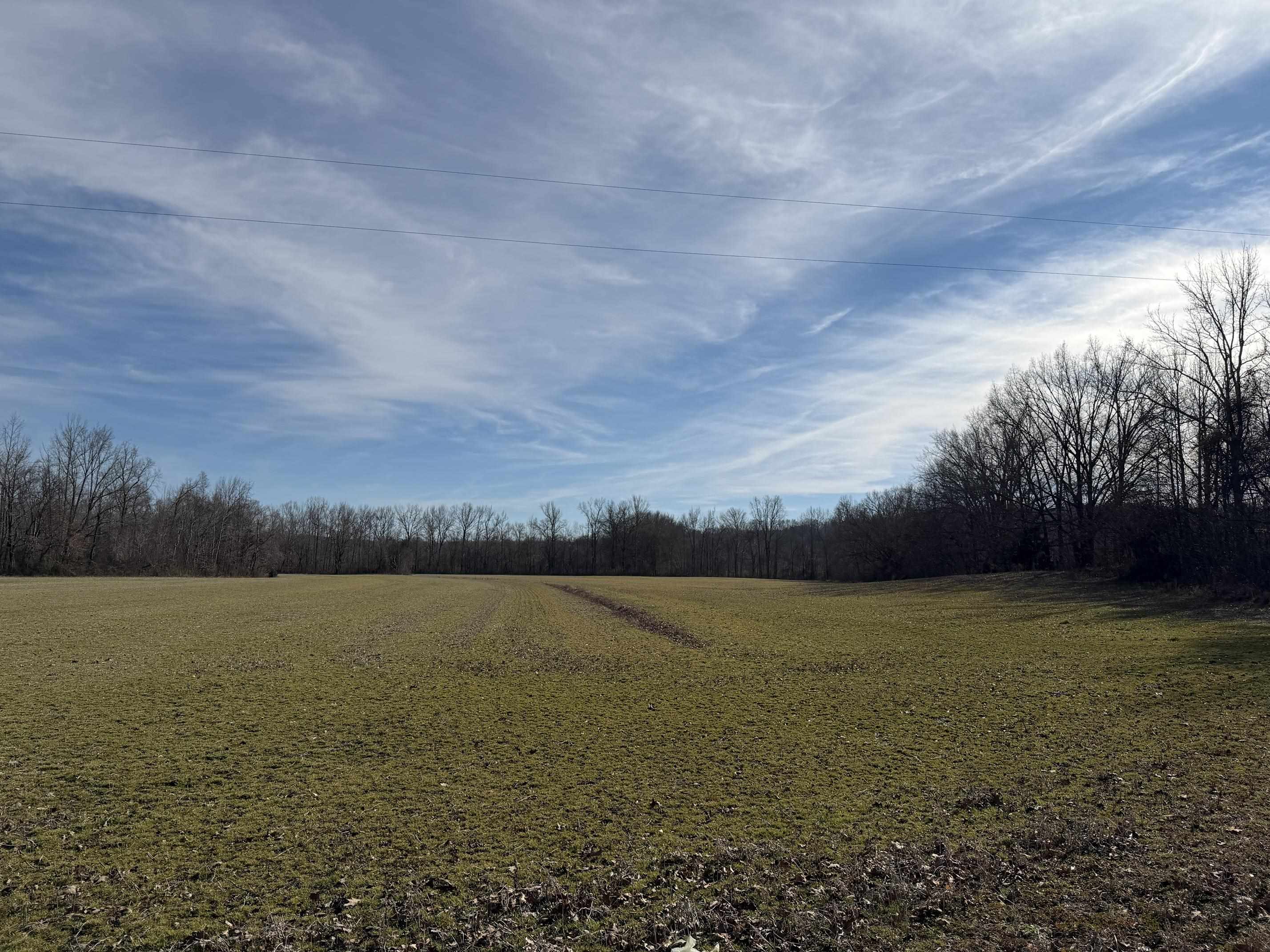 1 Glen Harris Road Adamsville, TN 38310 - Photo 9 of 21 a view of lake and mountain view