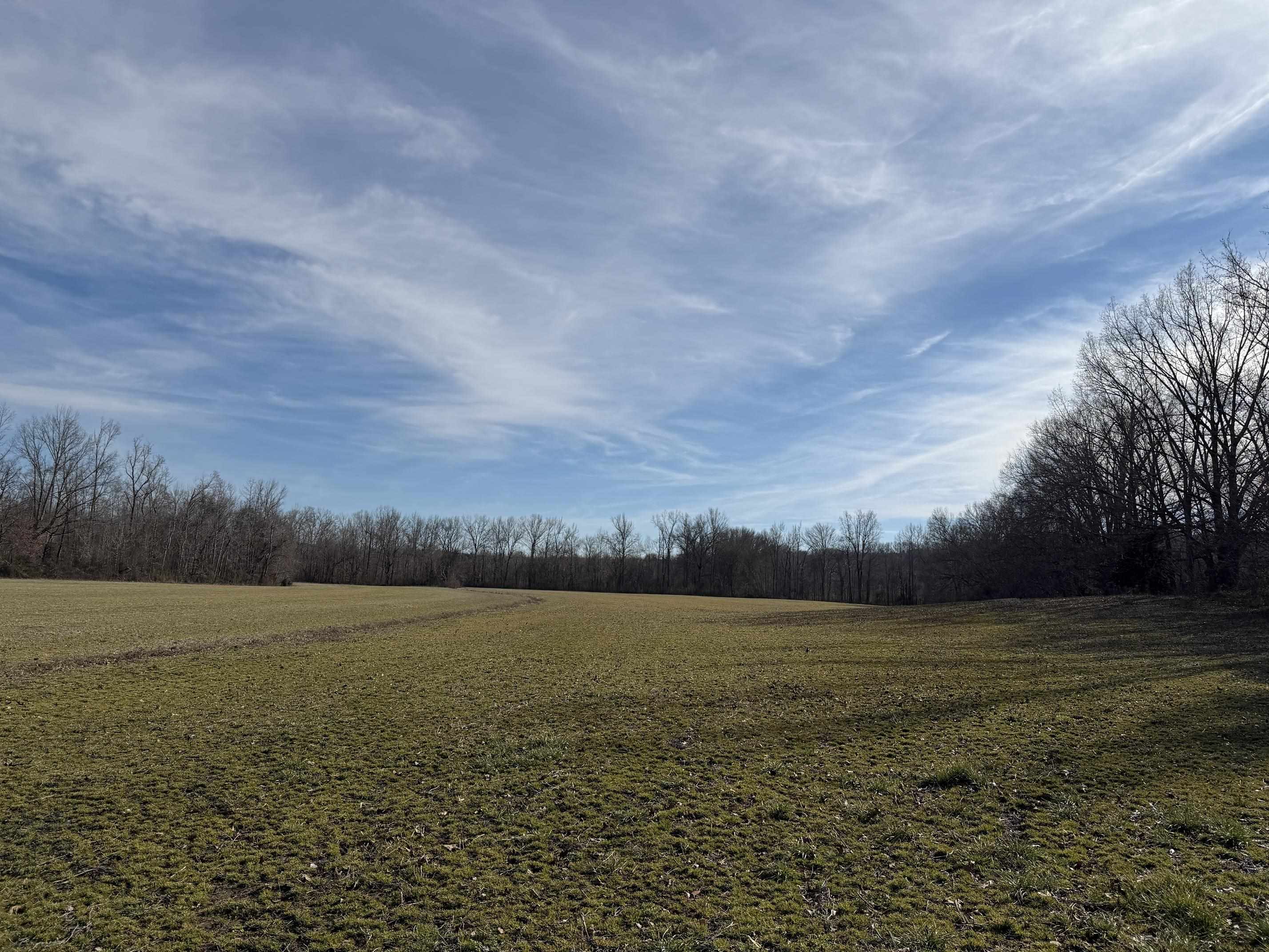 1 Glen Harris Road Adamsville, TN 38310 - Photo 10 of 21 a view of ocean view with beach