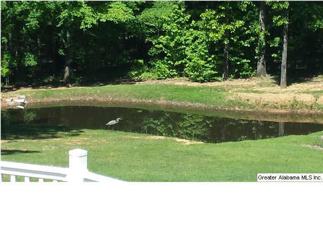 107 Chestnut Drive Alabaster, AL 35007 - Photo 30 of 32