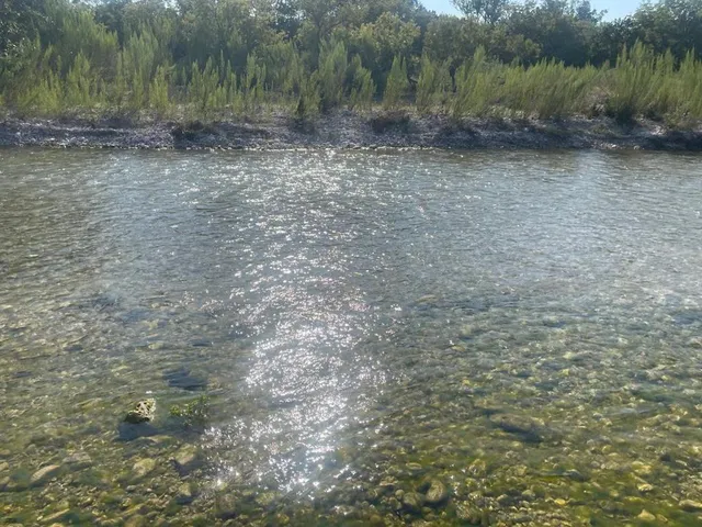 a view of a dry yard with trees
