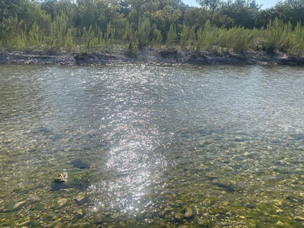 380 South Rr 335 Barksdale, TX 78828 - Photo 1 of 29 a view of a dry yard with trees