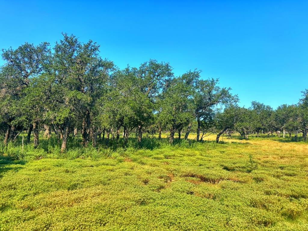 380 South Rr 335 Barksdale, TX 78828 - Photo 15 of 29 a swimming pool view