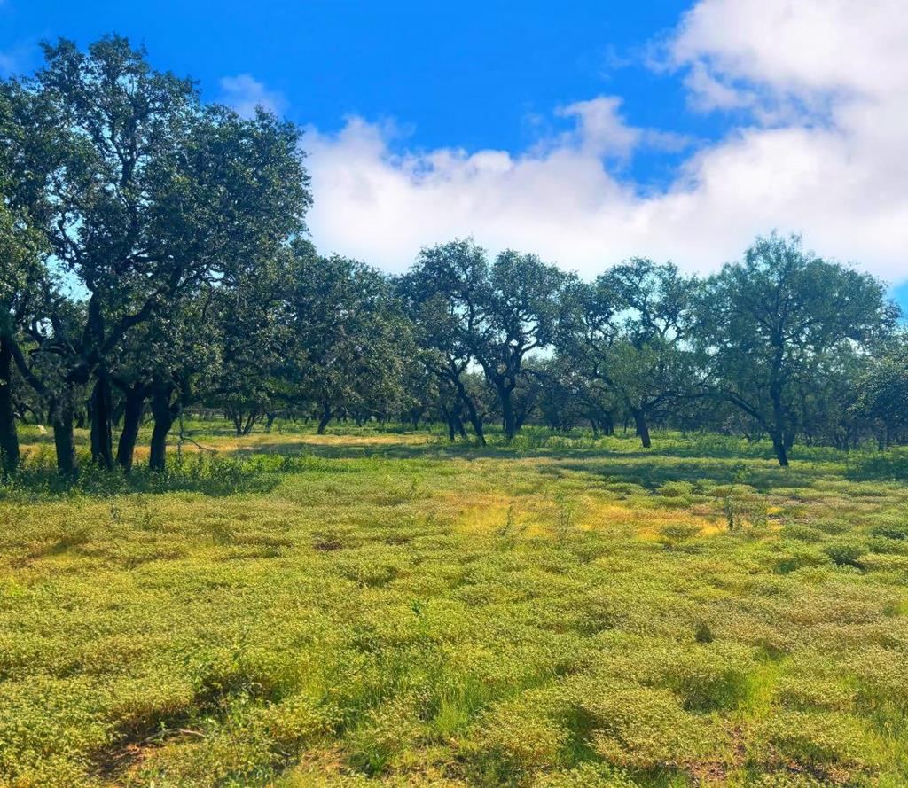 380 South Rr 335 Barksdale, TX 78828 - Photo 16 of 29 a view of a swimming pool with a yard