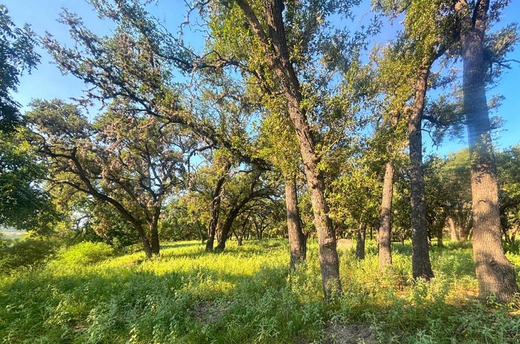 380 South Rr 335 Barksdale, TX 78828 - Photo 17 of 29 a view of swimming pool and trees