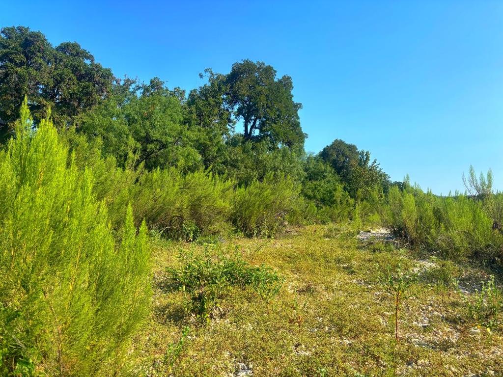 380 South Rr 335 Barksdale, TX 78828 - Photo 19 of 29 a view of a big yard with large trees