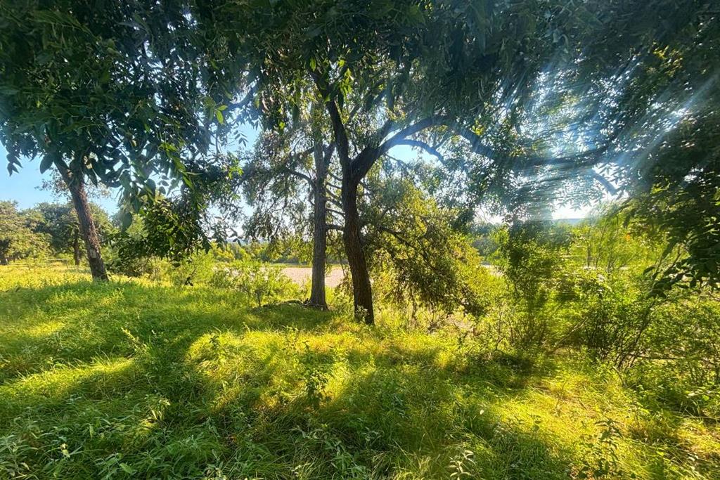 380 South Rr 335 Barksdale, TX 78828 - Photo 23 of 29 a view of yard