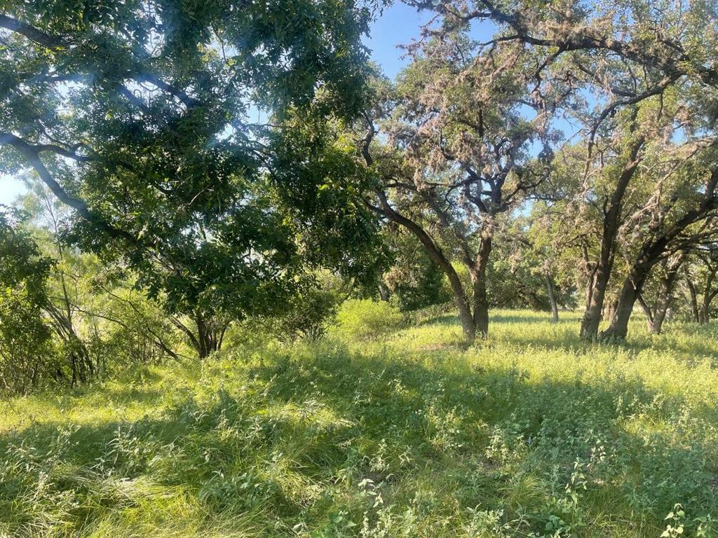 380 South Rr 335 Barksdale, TX 78828 - Photo 25 of 29 a view of yard with green space