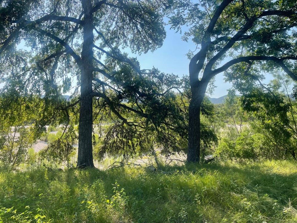 380 South Rr 335 Barksdale, TX 78828 - Photo 7 of 29 a backyard of a house with lots of trees