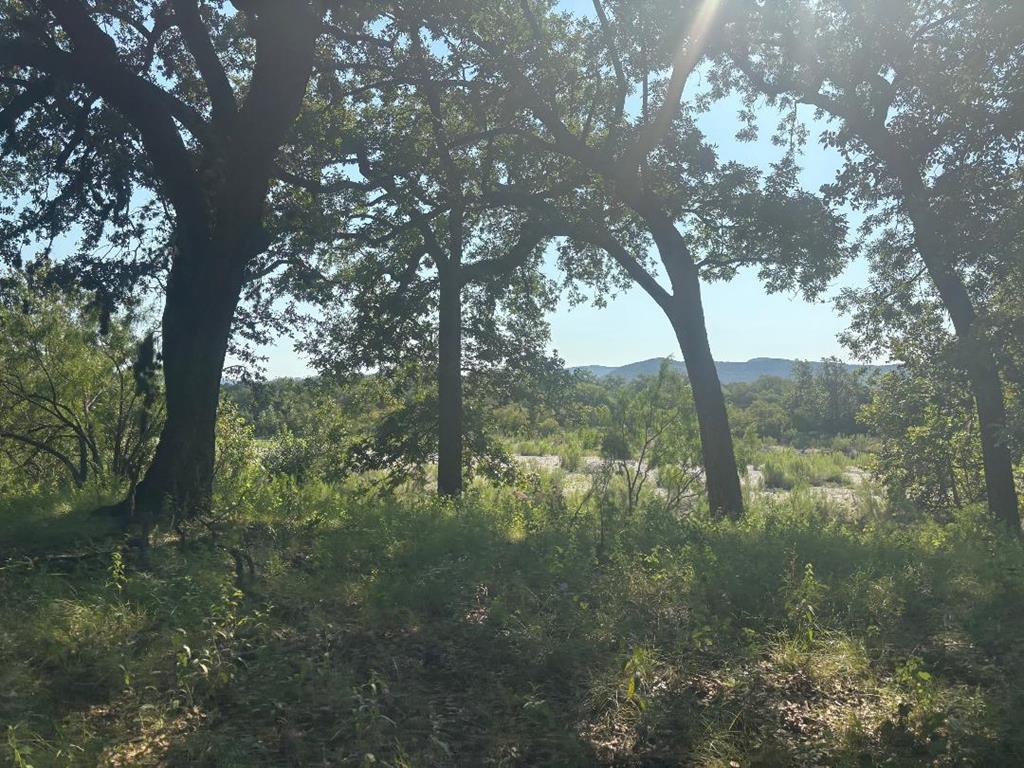 380 South Rr 335 Barksdale, TX 78828 - Photo 9 of 29 a view of mountain view with lots of trees