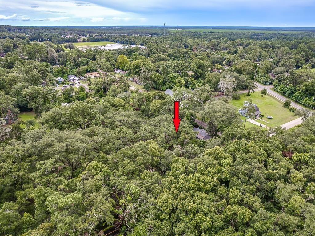 3413 Cornelia Street Tallahassee, FL 32305 - Photo 12 of 40