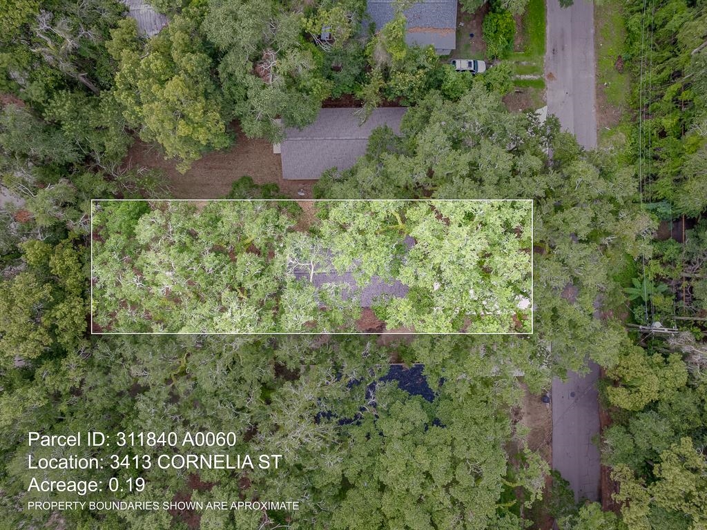 3413 Cornelia Street Tallahassee, FL 32305 - Photo 13 of 40