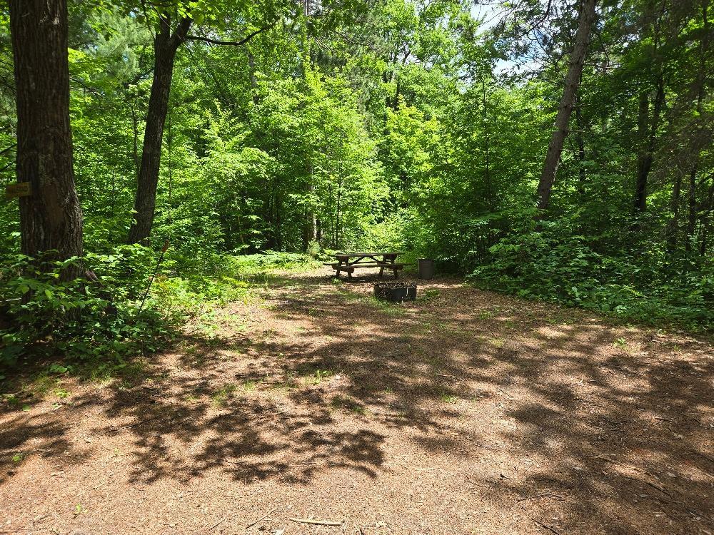 Tbd Tbd Fs2564d Remer, MN 56672 - Photo 7 of 18