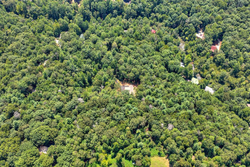 200 West Goldmine Road Ellijay, GA 30536 - Photo 65 of 67 Gallery Image 65