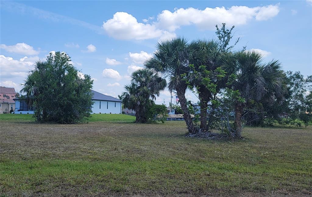 a view of a yard with a fountain