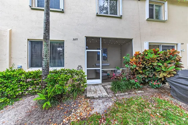 a view of a yard with palm trees