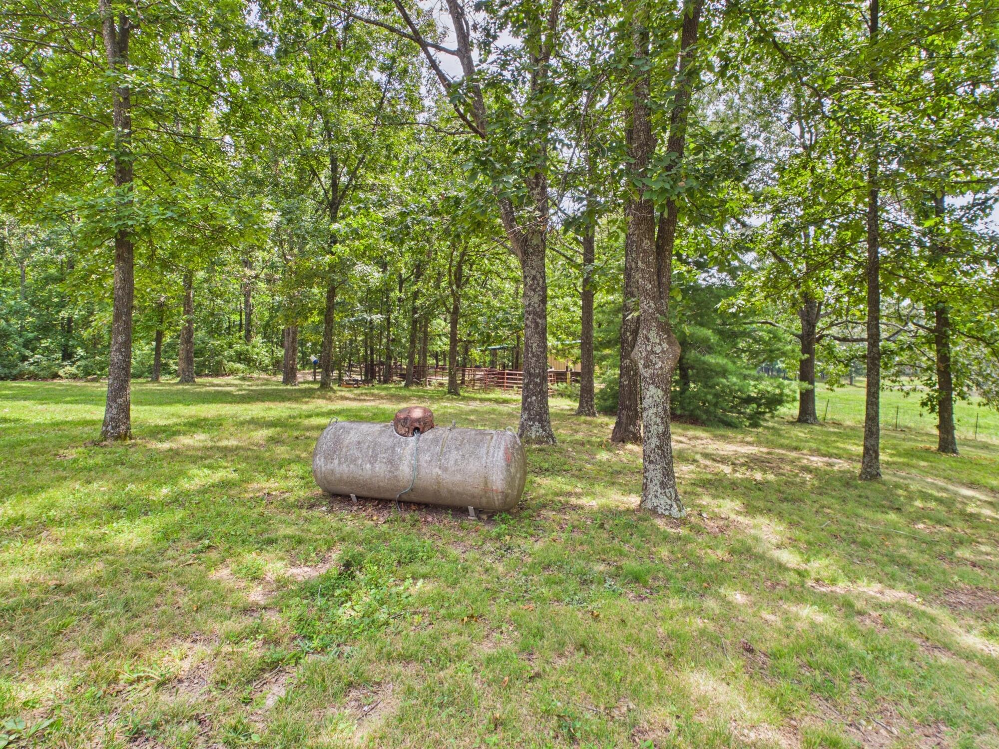 12283 Stave Mill Road Cabool, MO 65689 - Photo 114 of 150 CAM03368G0-PR0056-STILL118