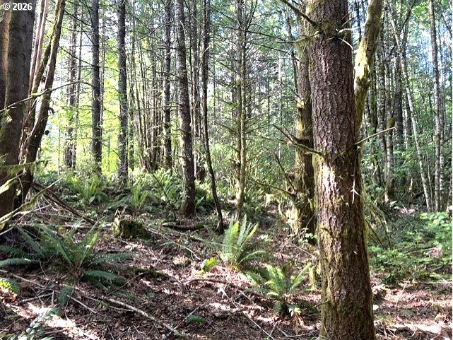 Nowakowski Road Banks, OR 97109 - Photo 13 of 15 Gallery Image 13