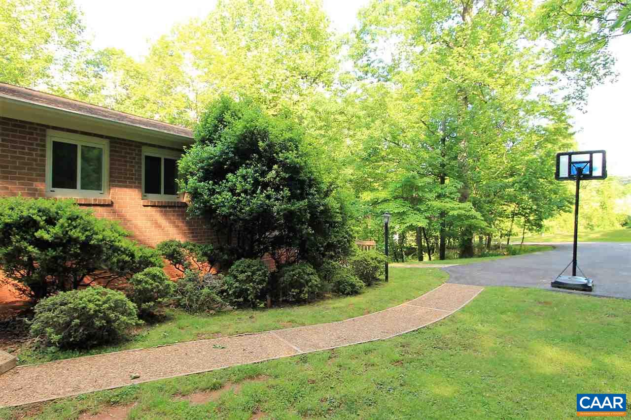 896 Dry Bridge Road Charlottesville, VA 22903 - Photo 3 of 47 a view of a backyard with plants and palm trees
