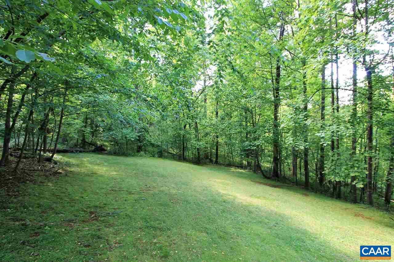 896 Dry Bridge Road Charlottesville, VA 22903 - Photo 41 of 47 a view of a big yard with large trees