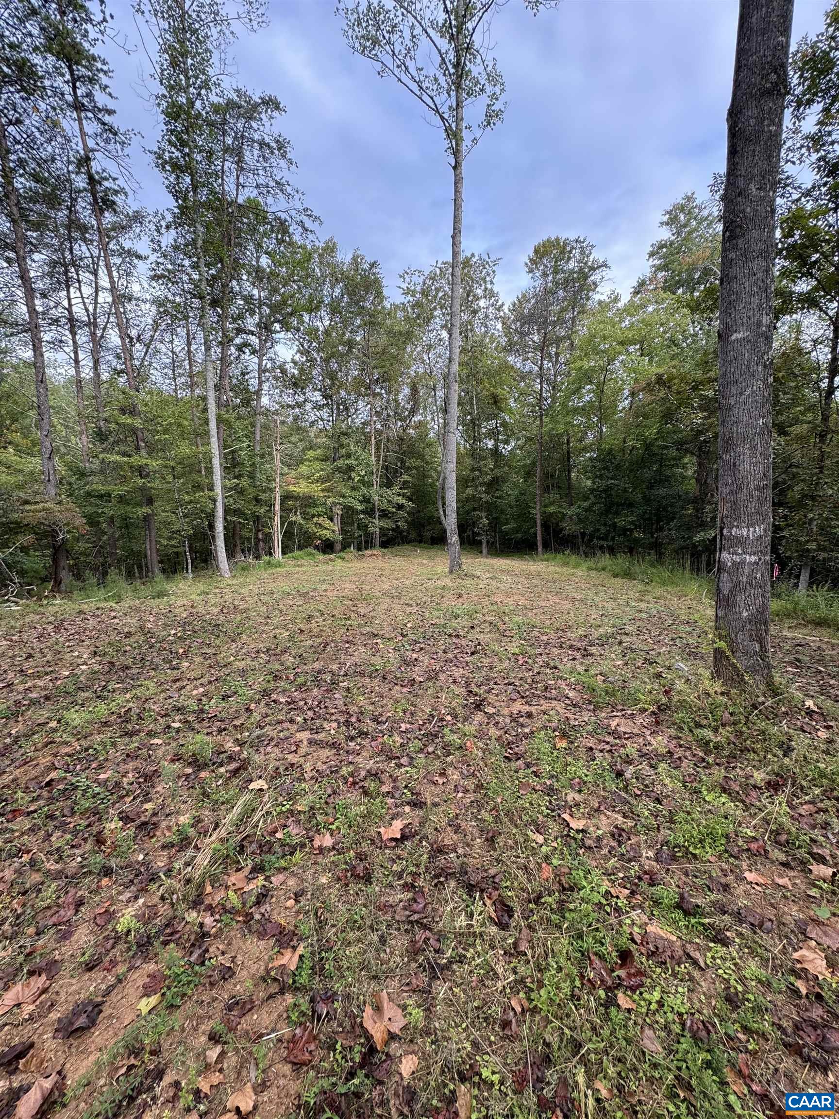 2.39-acres 2.39-acres Plank Road Afton, VA 22920 - Photo 1 of 12
